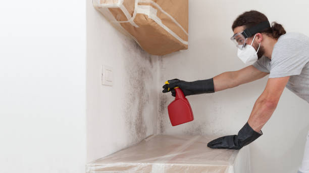 Professional Mold Inspection And Testing technician working in Bernardsville, NJ